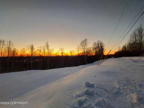 B1 L8a E Mt Russell Drive, Talkeetna, AK 99676