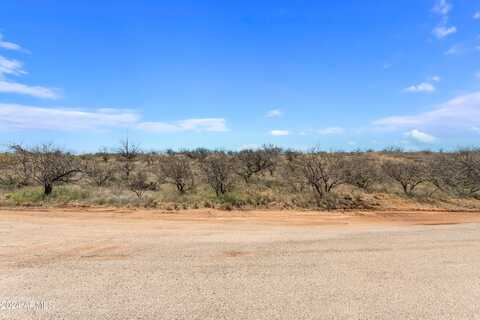 Tbd Ronald Reagan Parkway, Huachuca City, AZ 85616