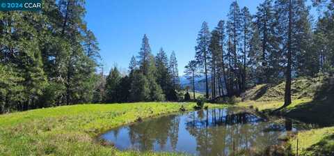 Salmon Creek Rd, Miranda, CA 95553