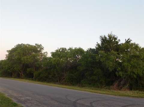 Easterling/Goliad St., Alice, TX 78332