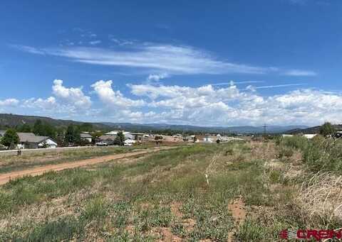 350 Sunflower Lane, Bayfield, CO 81122