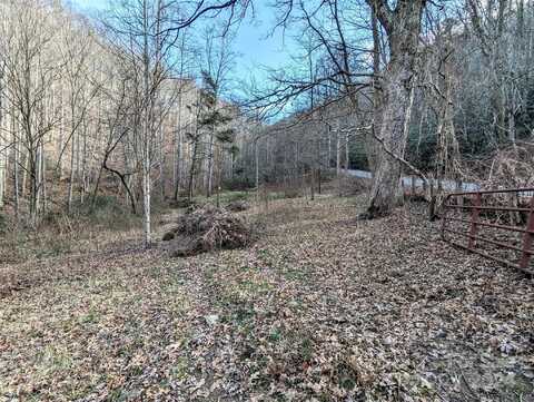 99999 Christian Creek Road, Swannanoa, NC 28778