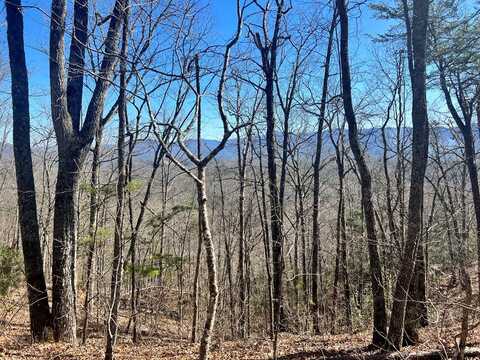 Lot 6 Red Dog Ln, Whittier, NC 28789