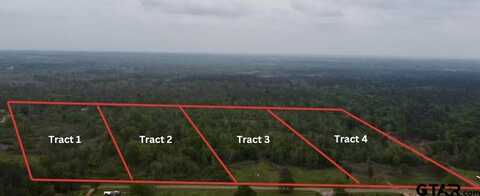 Tract 2 County Road 4146, Overton, TX 75684