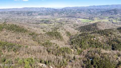 Balck Mash Hollow, Townsend, TN 37882