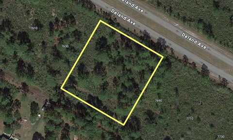 DELAND AVENUE, INDIAN LAKE ESTATES, FL 33855