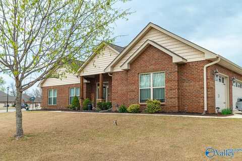 128 Chesnut Heath Court, Madison, AL 35756