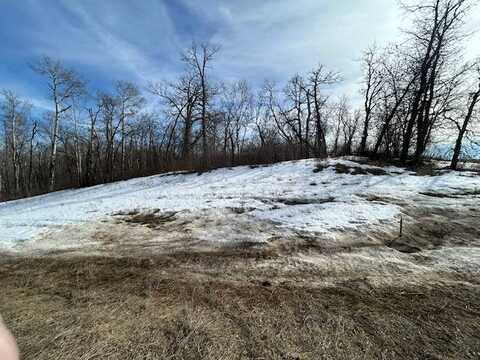 Outlot 12, Long Lake Landing, BOTTINEAU, ND 58318