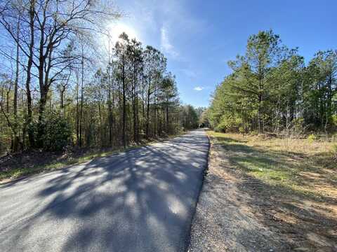 0 Adams Road - Tract 2, Bankston, AL 35542