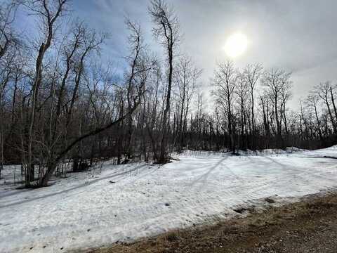 Outlot 13, Long Lake Landing, BOTTINEAU, ND 58318