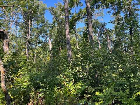 Tbd 10 Acre County 55 Road, Remer, MN 56672