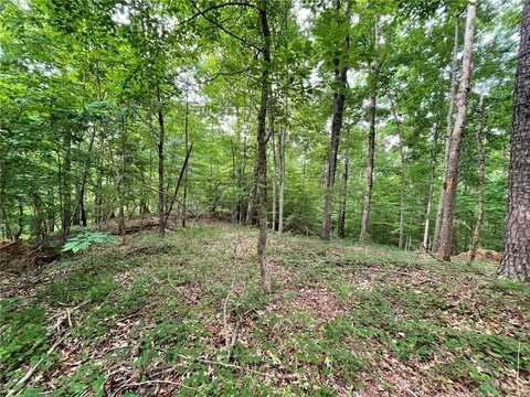 Lot 640 South Sundew Drive, Westminster, SC 29693