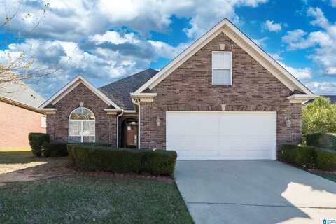 4685 CHRIS DRIVE, TRUSSVILLE, AL 35235