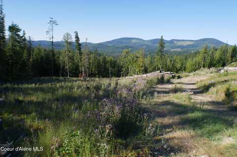 Backside Drive, Saint Maries, ID 83861