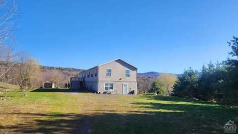 936 N. Potter Mountain Road, Conesville, NY 12076
