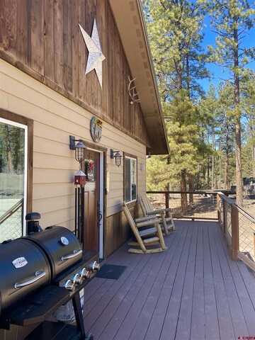 281 Snow Bird Lane, Pagosa Springs, CO 81147