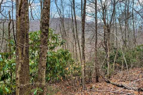 000 Hickory Nut Gap Road, Banner Elk, NC 28604