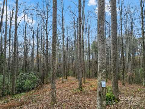 Lot 80 Mountain Grove Lane, Fletcher, NC 28732