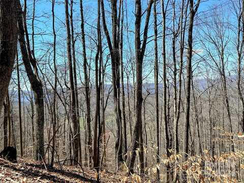 Lot 15 Red Wolf Run, Mars Hill, NC 28754