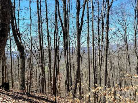 Red Wolf Run lot: 15, Mars Hill, NC 28754