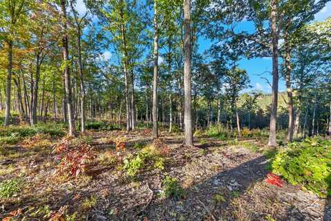 Lot 58 Mountain Grove Lane, Fletcher, NC 28732