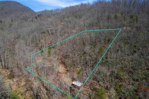 236 Lanterns Wick Trl, Sylva, NC 28779