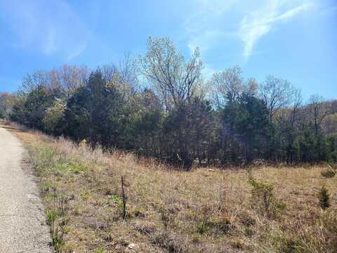 Lot 14 Hummingbird Hills, Branson, MO 65616