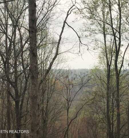 Lot 6 Landmark Rd, Jacksboro, TN 37757