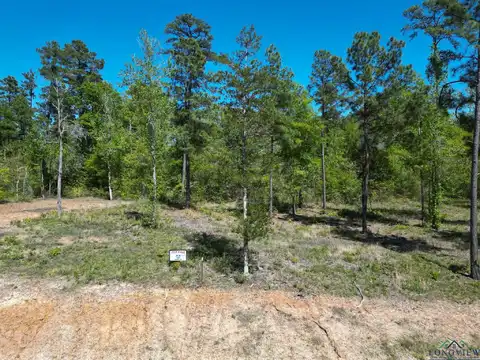 Lot 49 Marble Way, Hallsville, TX 75650