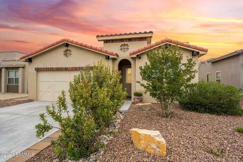 6134 Full Bloom Street, Las Cruces, NM 88012