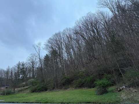 00 Lorton Lick Rd, BLUEFIELD, WV 24701