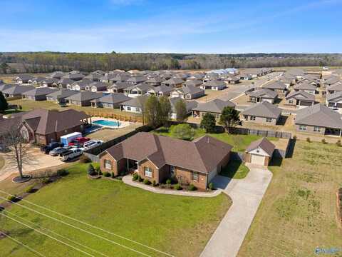 26385 Pepper Road, Athens, AL 35613