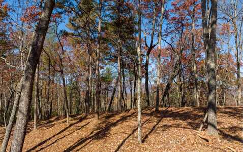 Lot 41 Preserve Trail, Ellijay, GA 30536