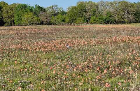 Tbd Newfield Lane, Springtown, TX 76082