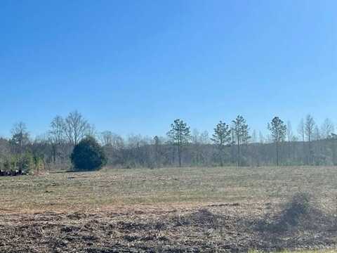 0 Beaver Pond Road, Luverne, AL 36049