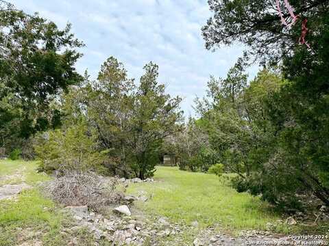 FOREST LAKE DR, Spring Branch, TX 78070