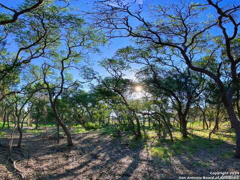 Lot 87 Creekside at Camp Verde, Center Point, TX 78010