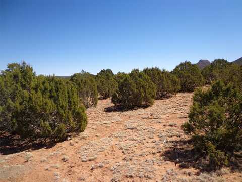 Tract 2a Camino del Sol, Bernal, NM 87569