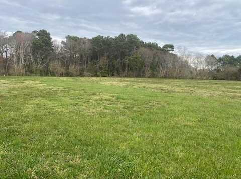 Lot 14 PINE DR, PARKSLEY, VA 23421