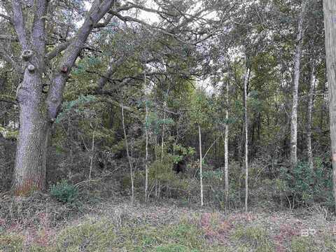 0 Fox Lane, Lillian, AL 36549