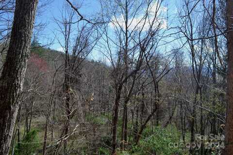 Lot 8 Town Mountain Road, Asheville, NC 28804