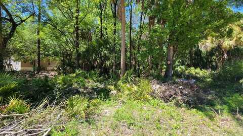 Debra St, Inglis, FL 34449