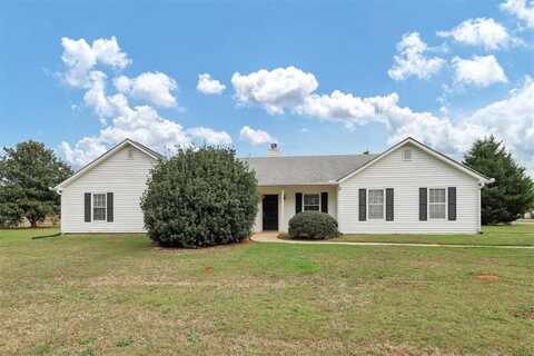 155 Daileys Plantation Drive, Mcdonough, GA 30253