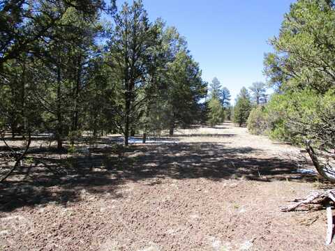 Lot 5 Copperweed Road, Ramah, NM 87321