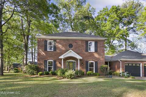 201 Sunrise Point Drive, Brandon, MS 39047