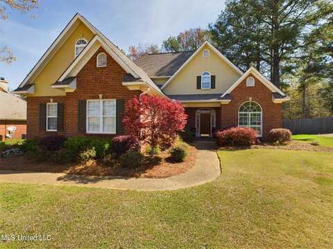 132 Derby Drive Drive, Madison, MS 39110