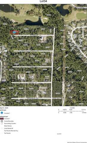 Lots 34 And 35 CHASE COURT, MOUNT DORA, FL 32757
