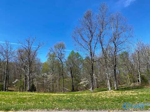 151 Ridgecreek Drive, Gurley, AL 35748