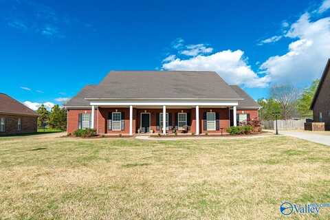 84 Mountain Cove Drive, Trinity, AL 35673