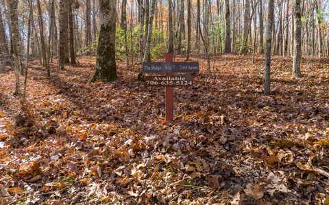 Lot 7 Joseph Anderson Trail, Ellijay, GA 30536